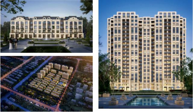 聚焦一線 |BIC前往上海福鐵龍住宅有限公司交流學習